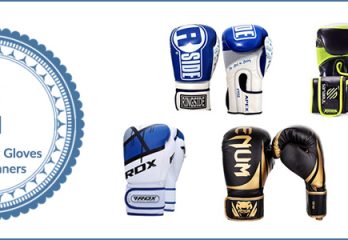 Best Boxing Gloves for Beginners reviews - Buyer’s Guide